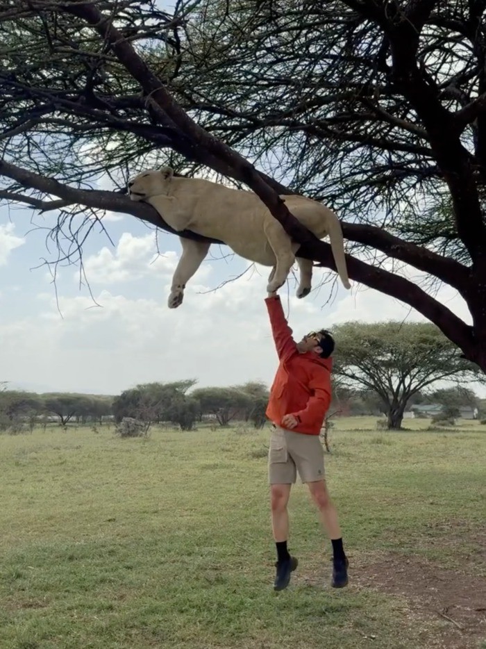 사자를 만지는 노홍철 / 노홍철 인스타그램