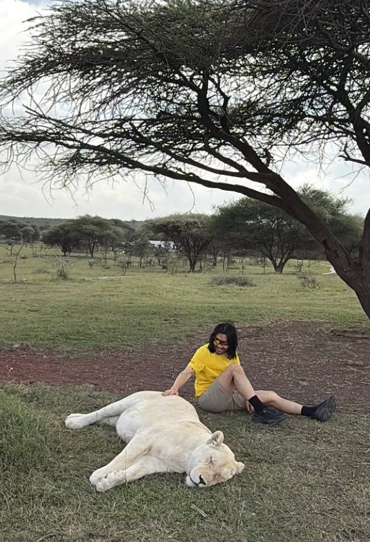 잠든 사자를 쓰다듬는 노홍철 / 노홍철 인스타그램