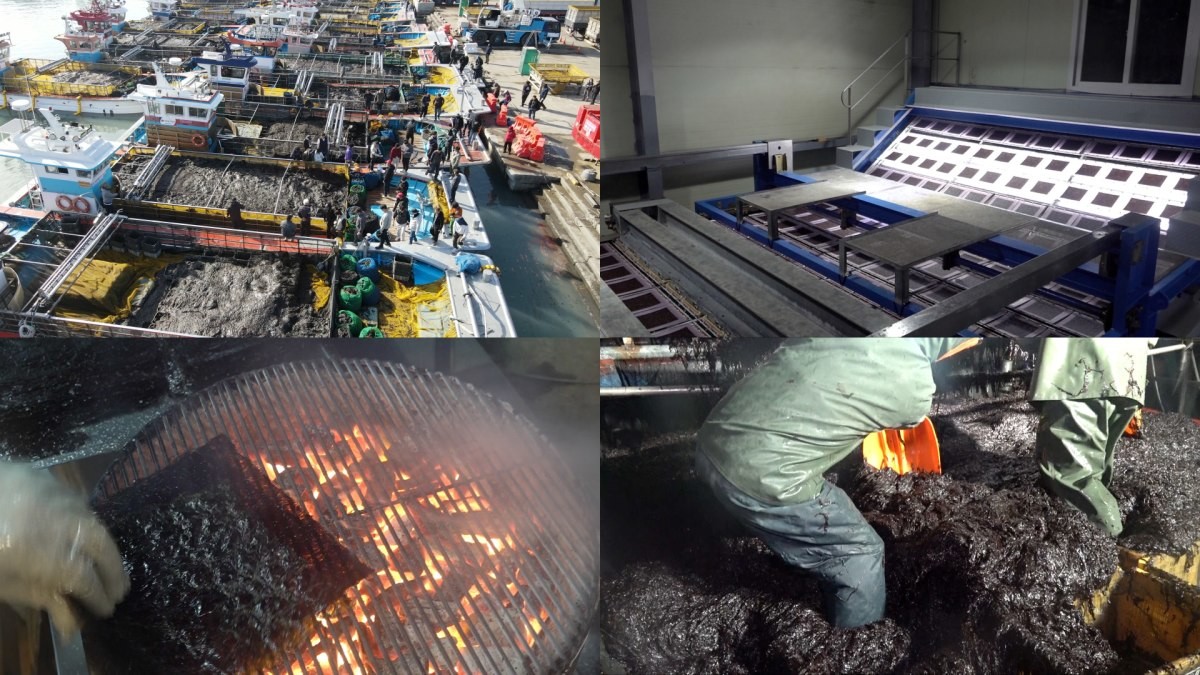 EBS1 '극한직업' 미리보기 페이지에서 제공하는 '겨울 대목을 잡아라! 과메기와 김'편 자료 사진 / EBS 제공