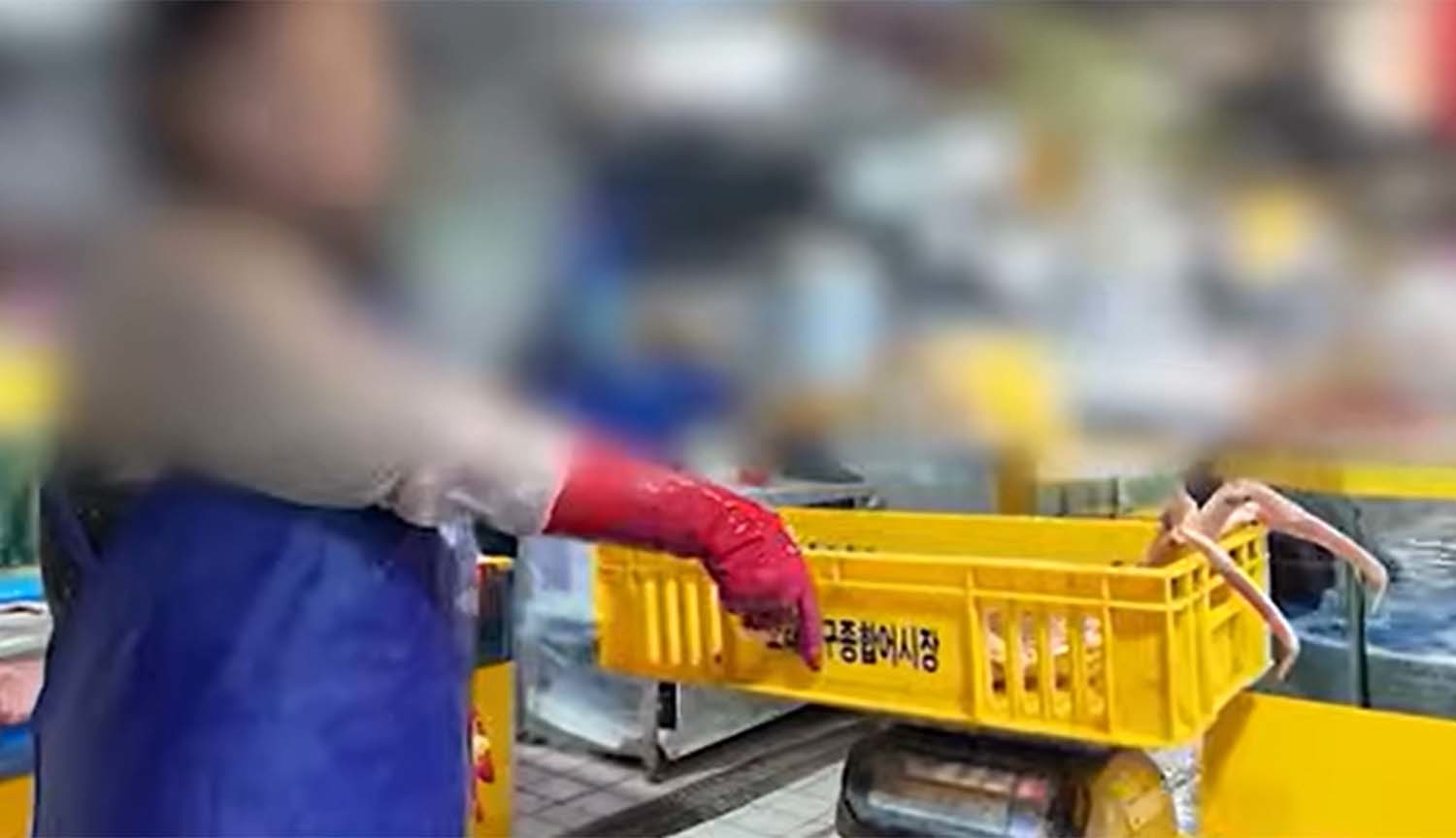 MBC '생방송 오늘아침'