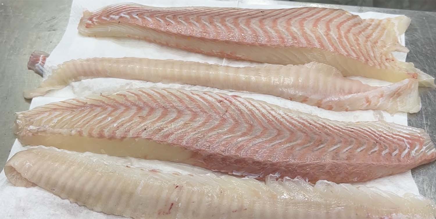 황금광어회 / '일타쿠마'