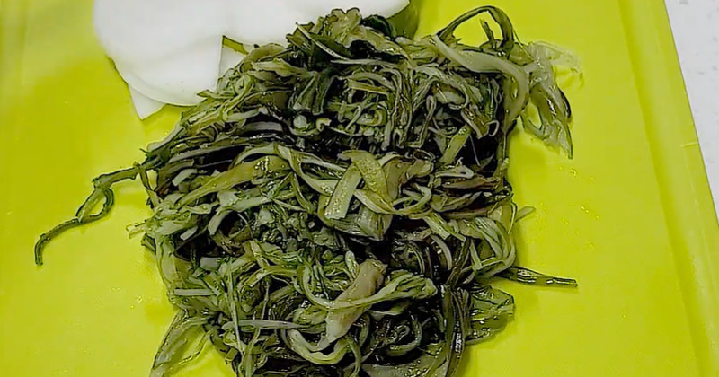 유튜브 '흥부네'