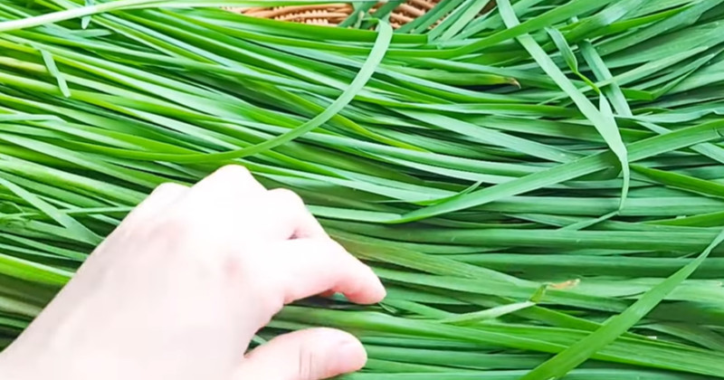 유튜브 '햇살모리 키친 Sunshine&Mori's kitchen'