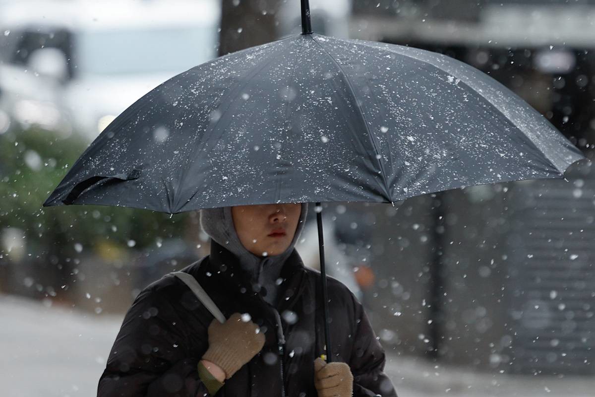 '함박눈 펑펑' / 뉴스1