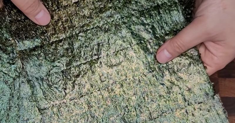 유튜브 '이 남자의 cook'