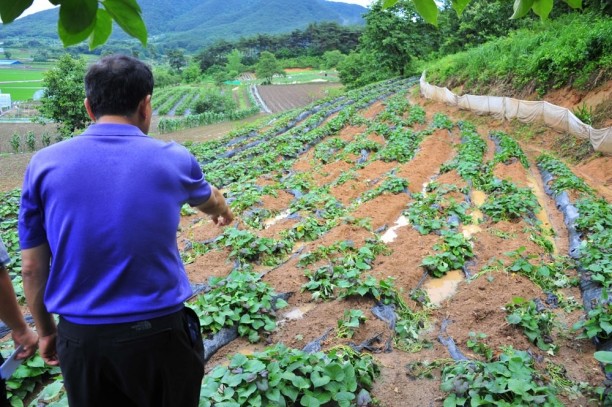 야생동물에 의한 농작물 피해보상 사업 / 순창군