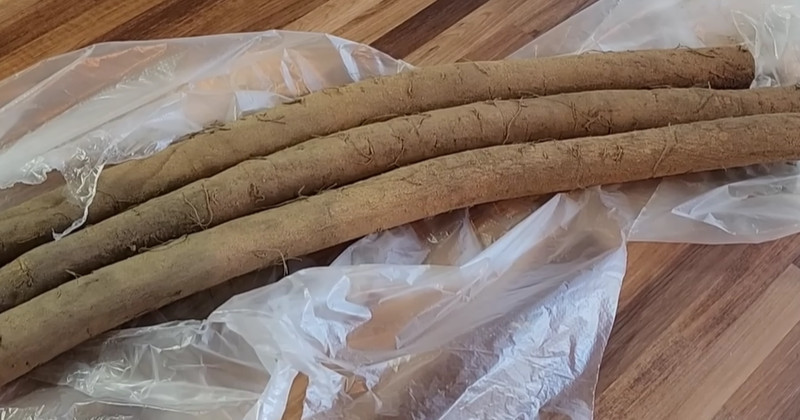 유튜브 'sogyo table 소교식탁TV'