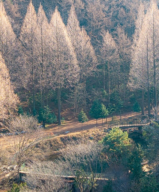 온빛수목원. / 논산시 제공