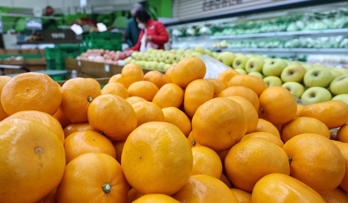 기사의 이해를 돕기 위한 AI 생성 이미지