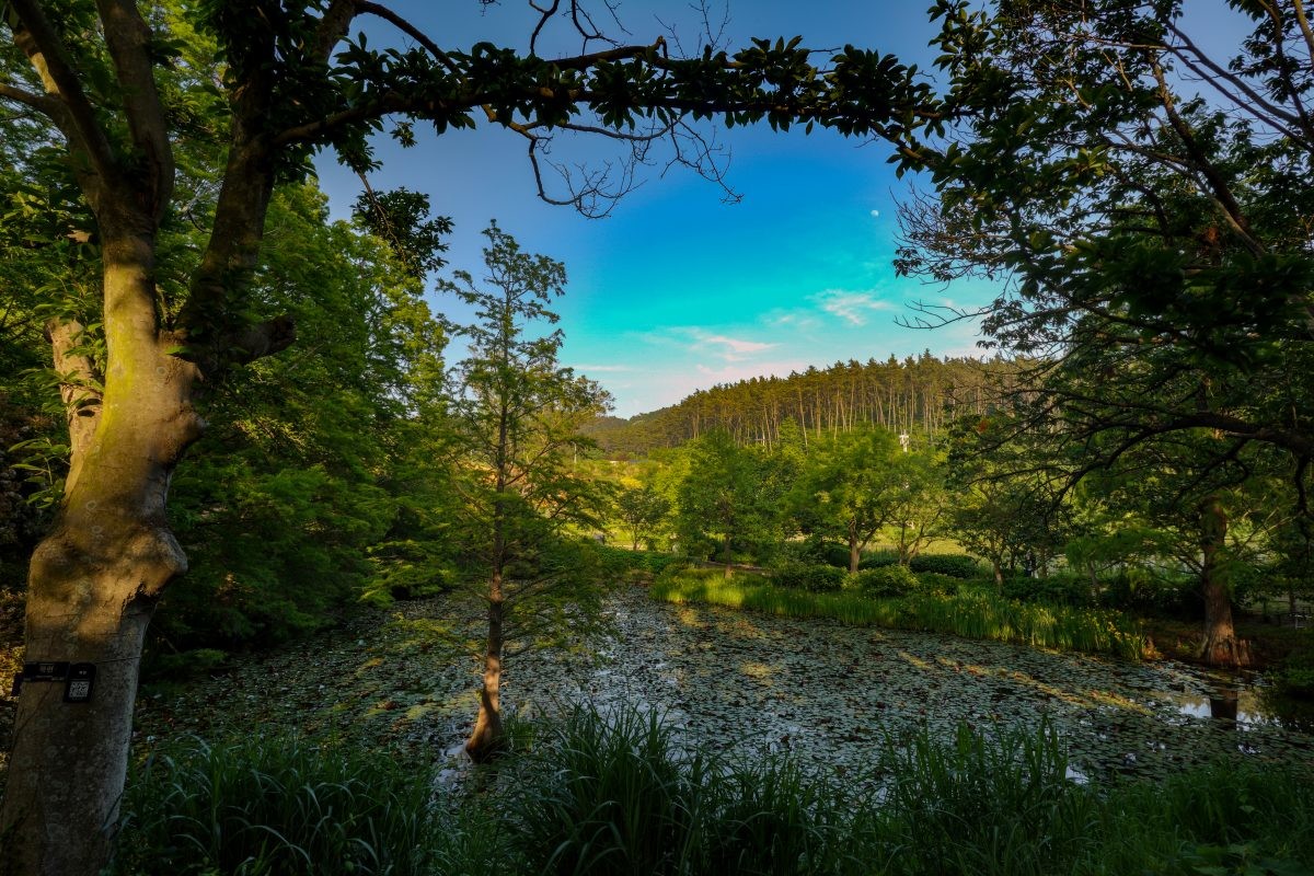 천리포수목원. / 연합뉴스