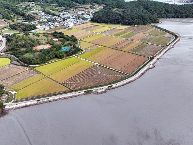 회장 장산방조제