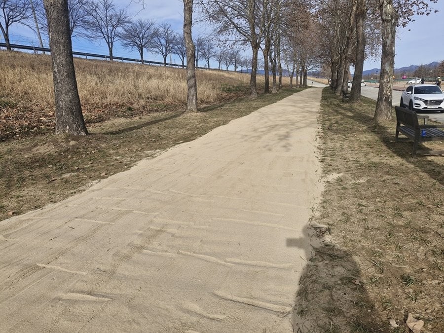 구미 플라타너스 맨발길 1구간 전경. / 구미시 제공