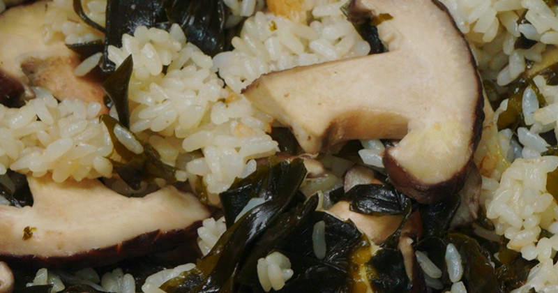 유튜브 '팔숙이 palsook'