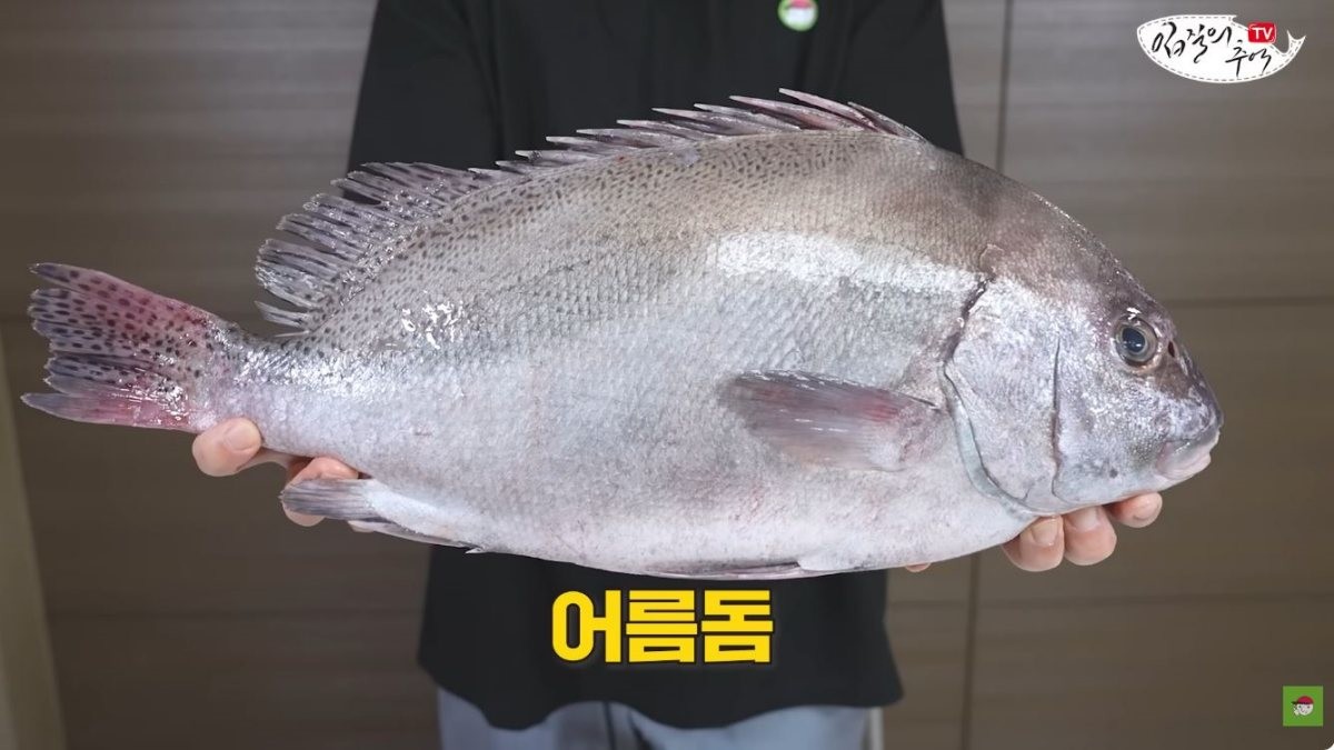 어름돔. / 유튜브 '입질의추억TV jiminTV'