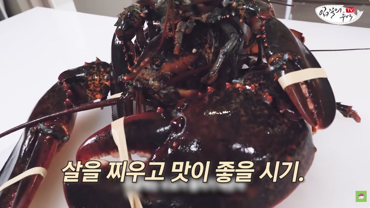 랍스터. / 유튜브 '입질의추억TV jiminTV'