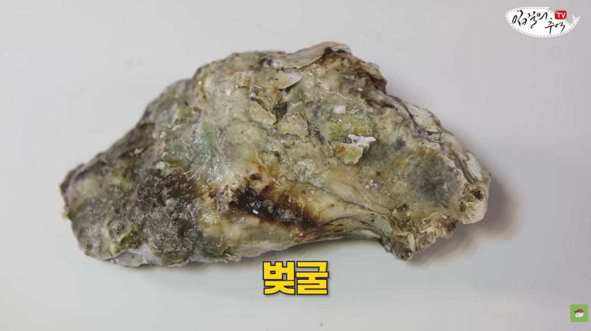 벚굴. / 유튜브 '입질의추억TV jiminTV'