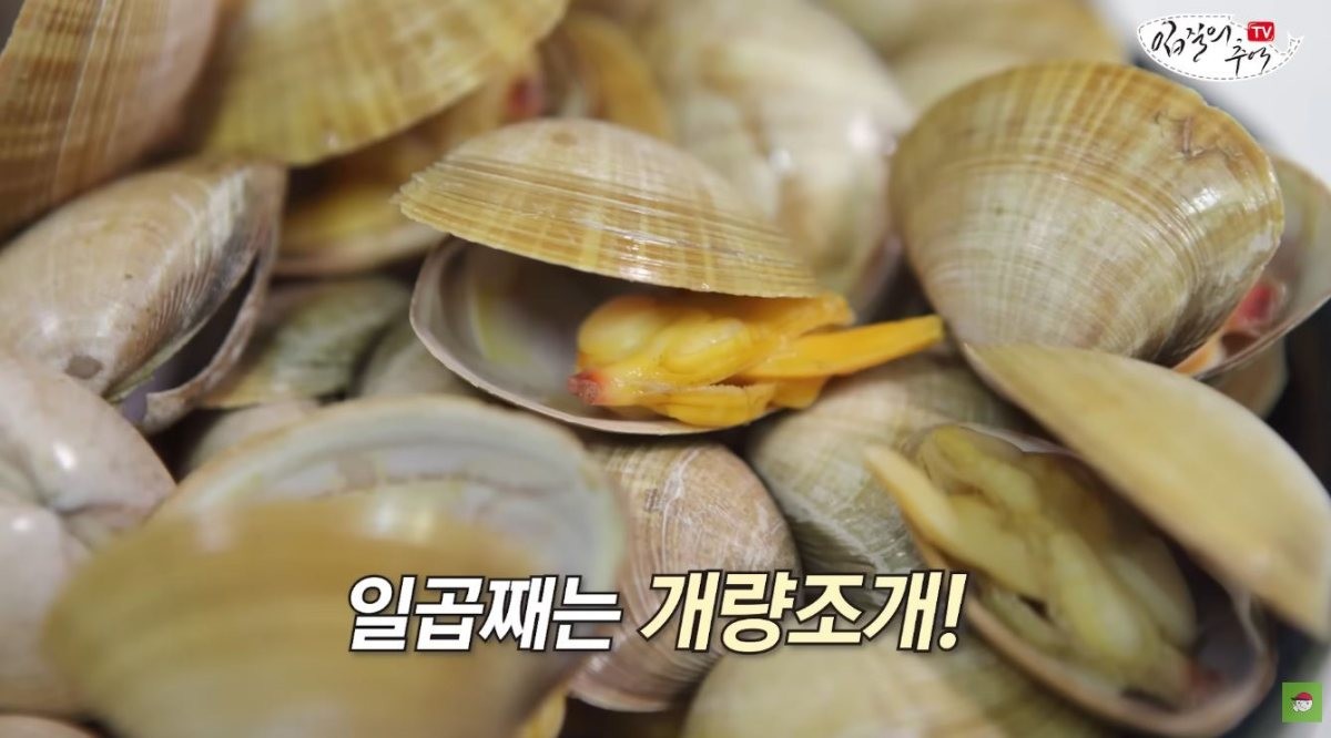 개랑조개. / 유튜브 '입질의추억TV jiminTV'