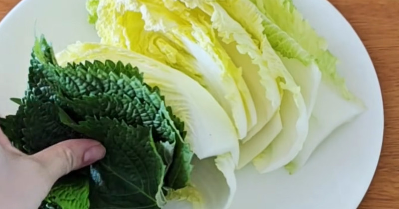 유튜브 '묘식당 Rabbit's'