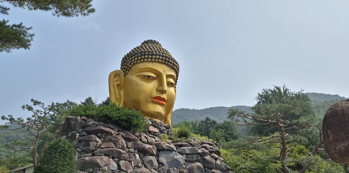 와우정사. / 유튜브 ' 힐링하는 파파구리'