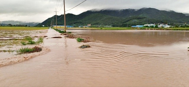 장흥지구 침수
