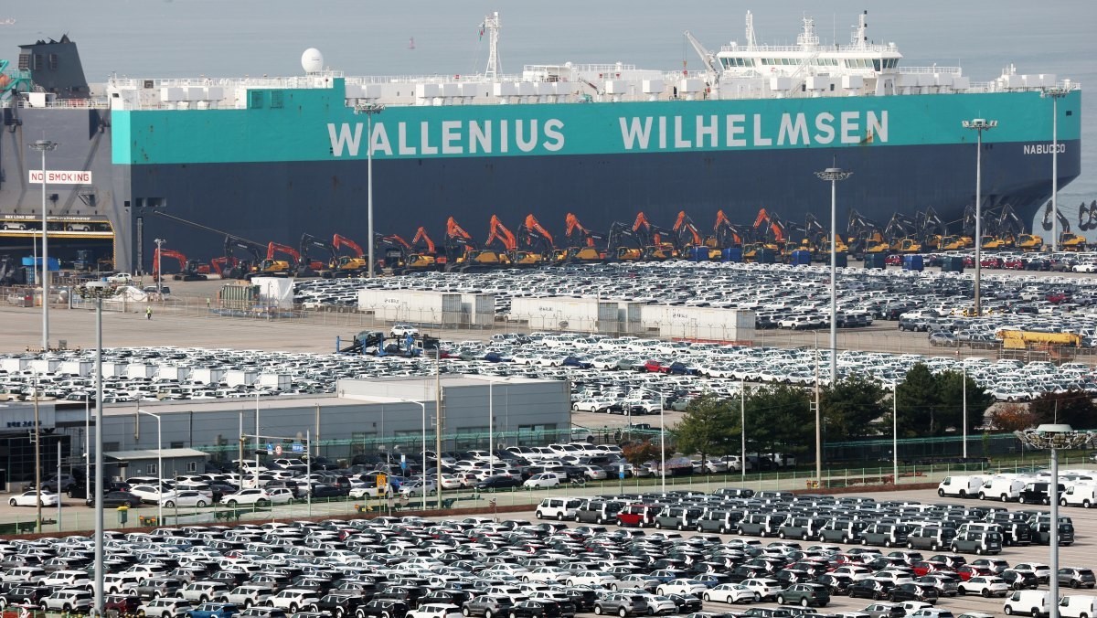 평택시 포승읍 평택항에 수출용 차량이 세워져 있는 모습. 기사의 이해를 돕기 위한 사진 / 뉴스1