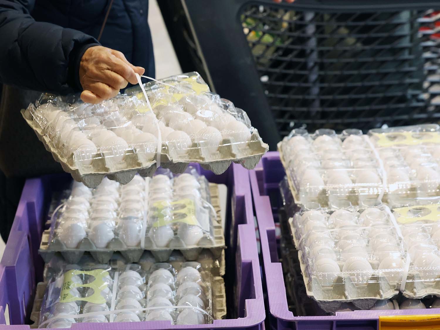 1일 서울 강서구 홈플러스 강서점에 '미국산 백색 신선란'이 판매되고 있다. 농림축산식품부는 국내 고병원성 조류인플루엔자(AI) 확산에 따른 계란 수급 불안에 대비해 미국산 신선란을 시범 수입했다. 홈플러스는 수입 물량을 선제적으로 확보, 미국산 백색 신선란(30구) 4만 5000판을 국내 마트 단독으로 판매한다.  /뉴스1