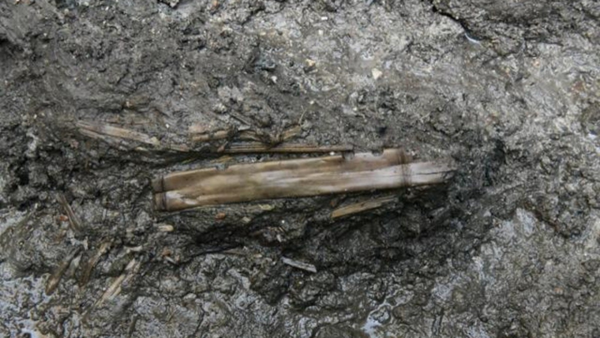 출토된 악기 유물 모습. / 국가유산청 제공