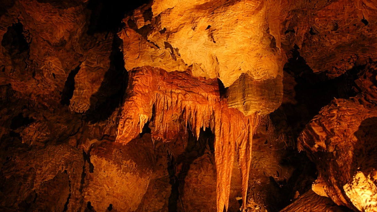 천곡황금박쥐동굴. 기사 내용 토대로 AI툴 활용해 제작한 자료사진.