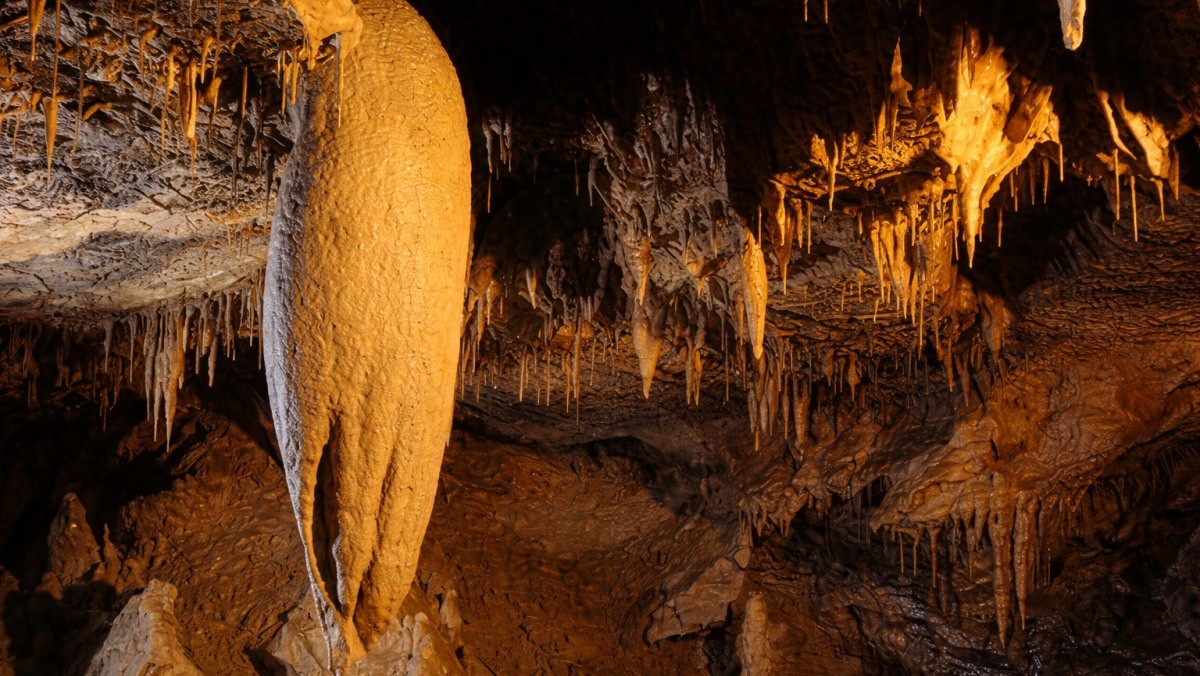 천곡황금박쥐동굴. 기사 내용 토대로 AI툴 활용해 제작한 자료사진.