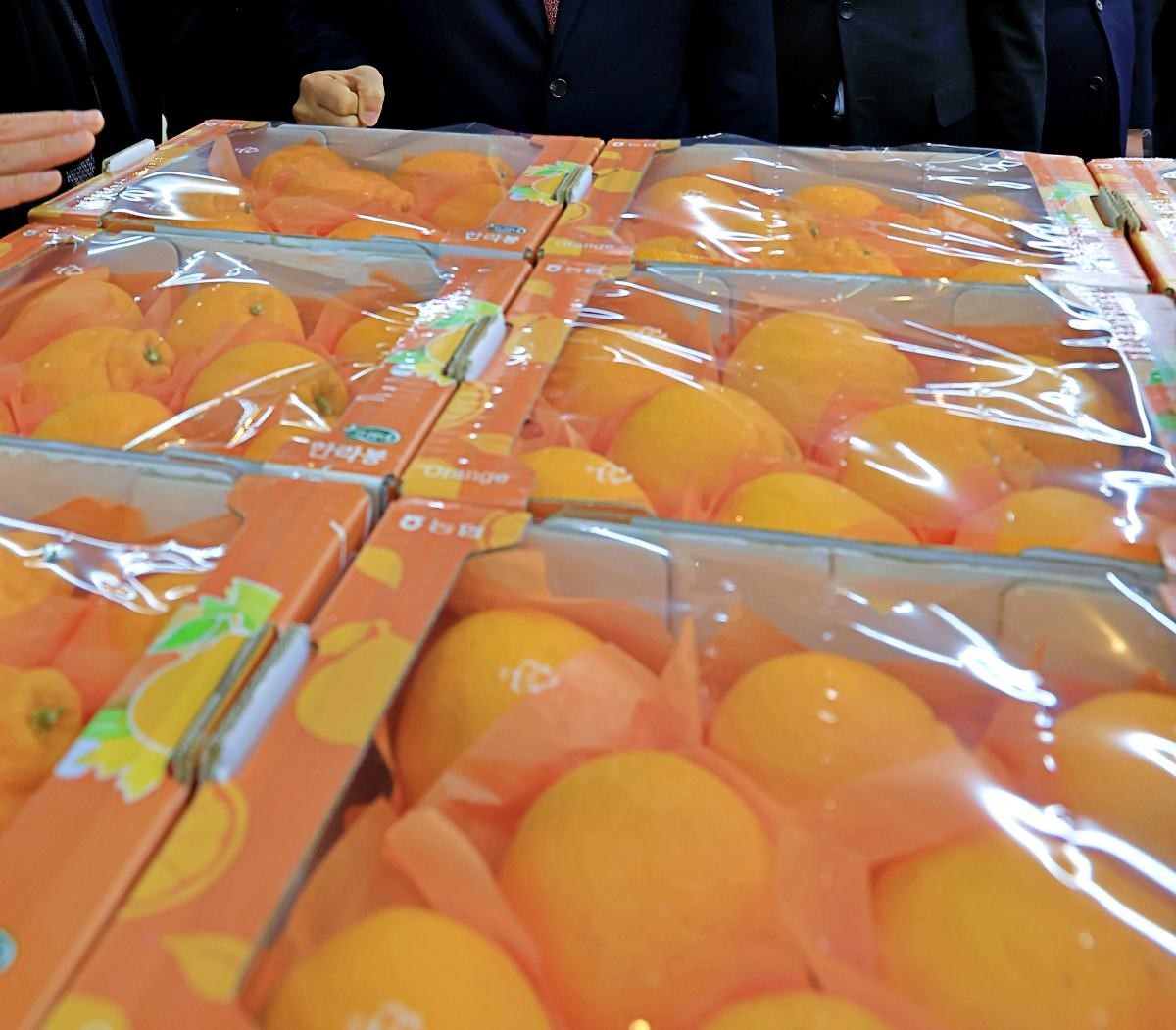 마트의 만감류들. 자료사진. / 뉴스1