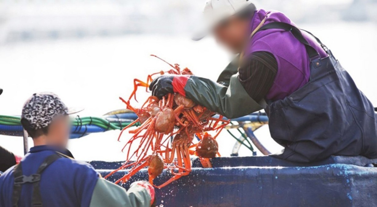 울진 후포항 풍경 / 울진군청
