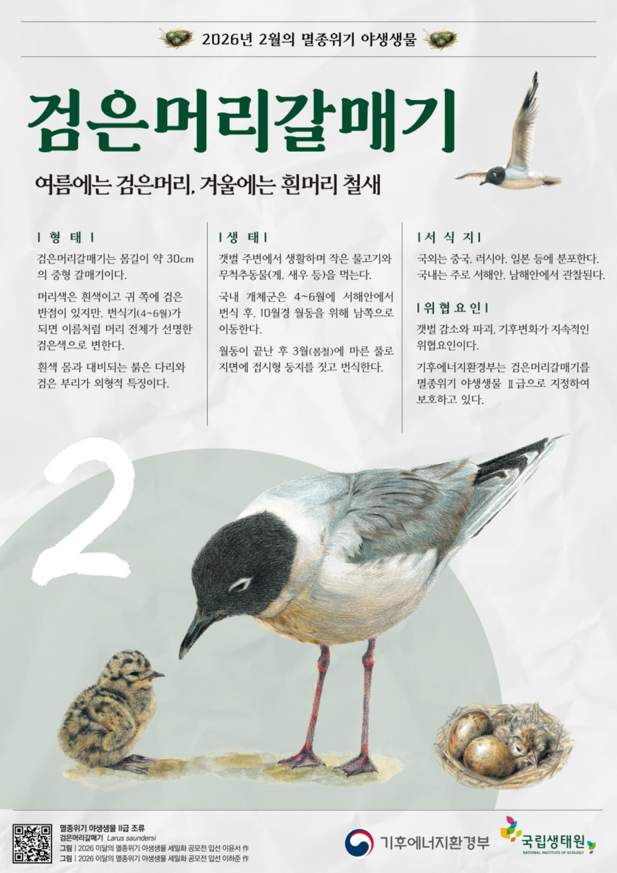 2월의 멸종위기 야생생물 포스터. / 기후에너지환경부 제공