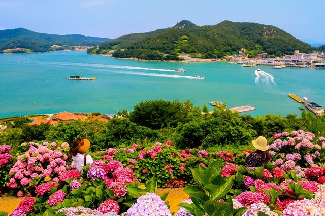 제2기 로컬100-고흥 쑥섬