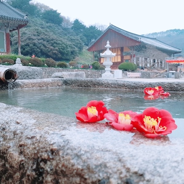 고창 선운사 / 고창군