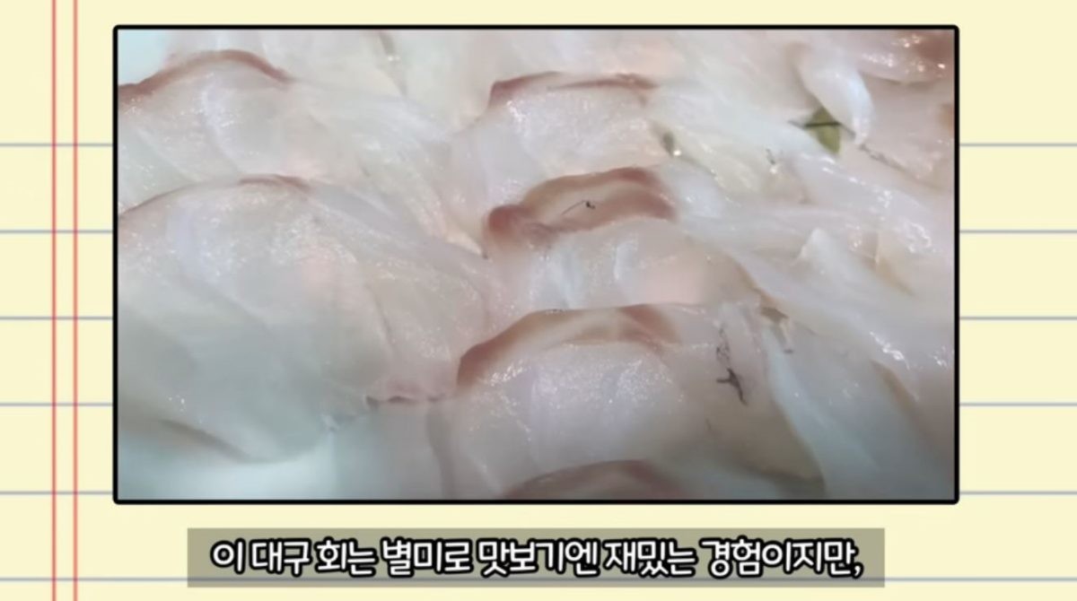 대구회. / 유튜브 '생선선생 미스터S'