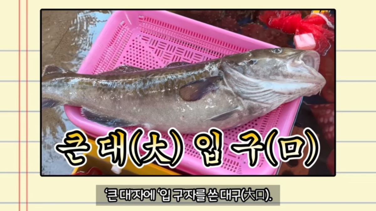대구의 뜻 설명. / 유튜브 '생선선생 미스터S'