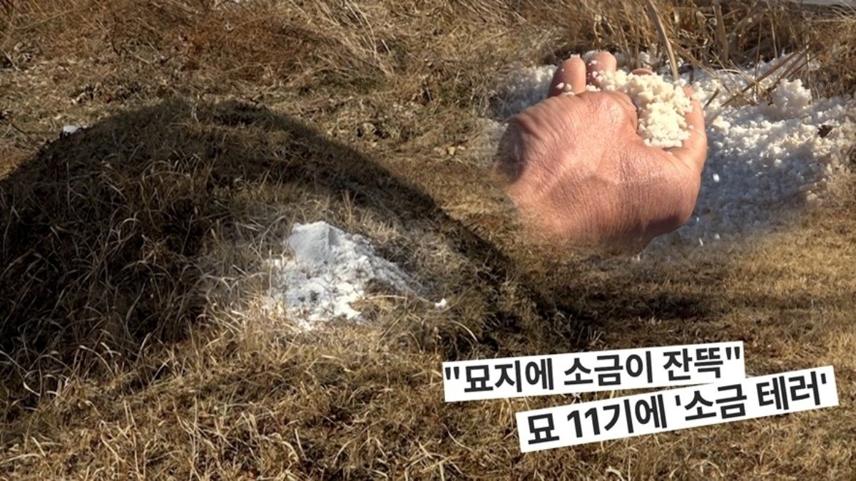 SBS ‘궁금한 이야기 Y’ 미리보기 페이지에서 제공하는 자료 사진. / SBS 제공