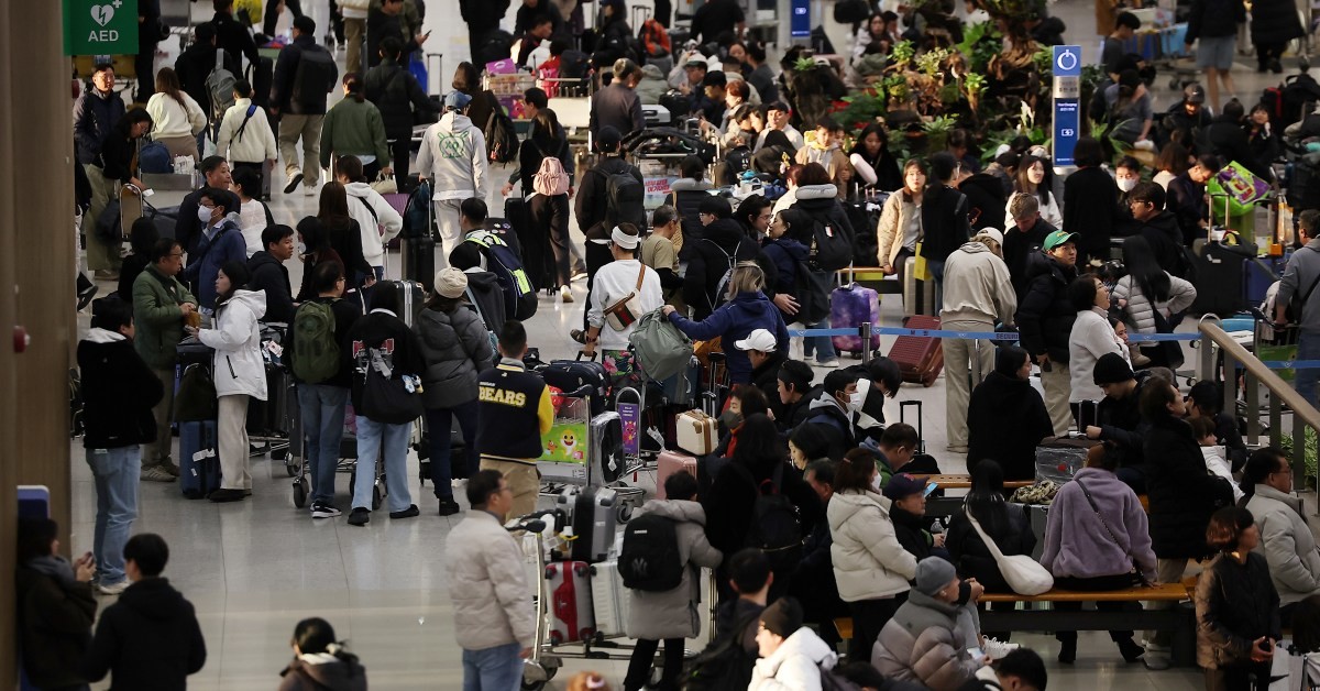 공항 인파 사진 / 뉴스1