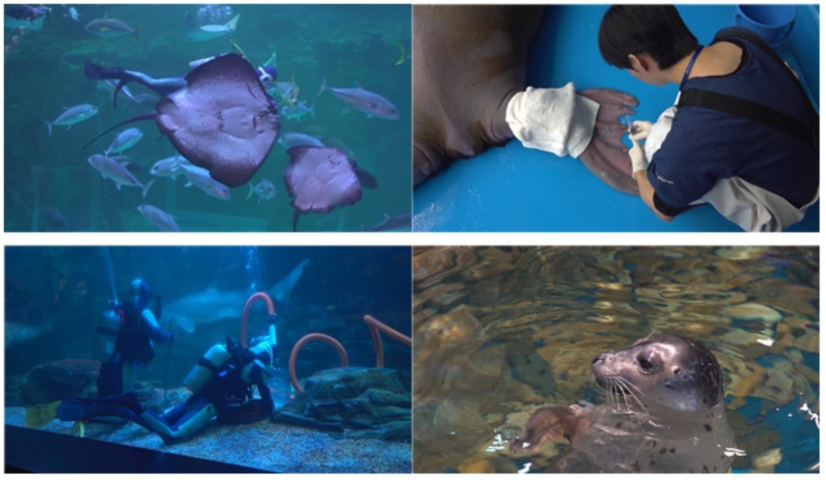 EBS1 '극한직업' 미리보기 페이지에서 제공하는 '홈쇼핑과 아쿠아리움을 움직이는 사람들'편 자료 사진 / EBS 제공