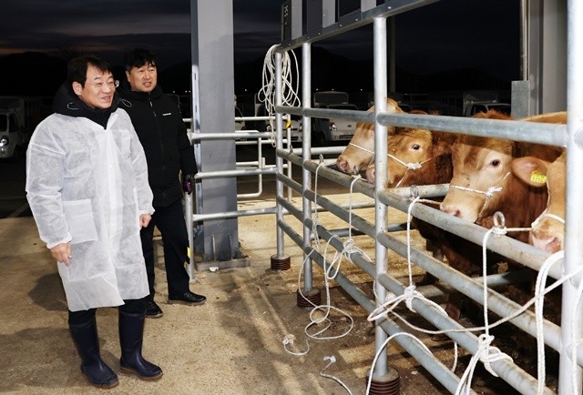 강진원 강진군수가 설 명절을 앞두고 강진 가축시장을 방문해 한우 농가를 격려하고 의견을 청취하고 있다.