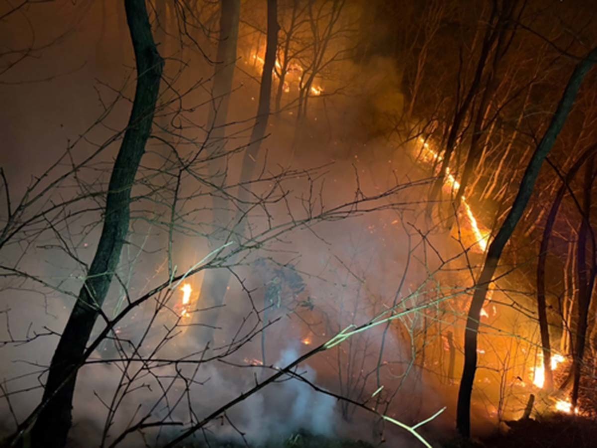 문무대왕면 산불 / 경북소방안전본부