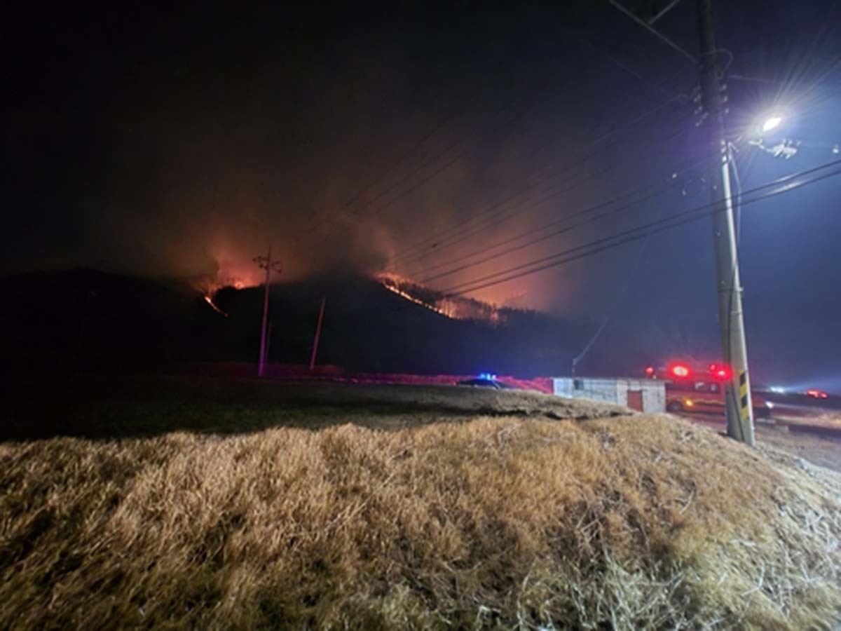 문무대왕면 산불 / 경북소방안전본부