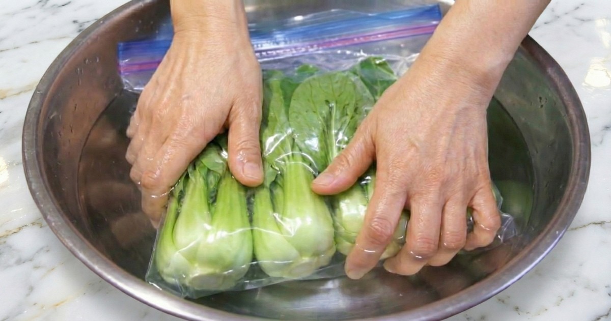 AI툴로 생성한 자료사진. 대야에 물을 충분히 받고 지퍼백을 물속에 담근다. 이 과정에서 수압으로 지퍼백 안의 공기가 자연스럽게 빠져나온다. 단, 물이 지퍼백 안으로 들어가지 않도록 주의한다.