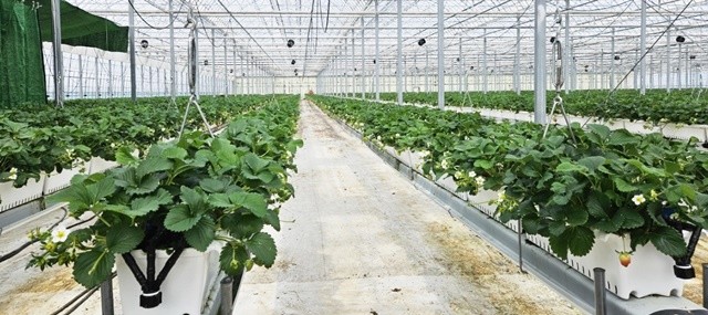 농어촌진흥기금- 시설하우스설치(시설자금)