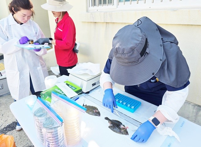 수산생물 질병 검사-넙치 질병 검사