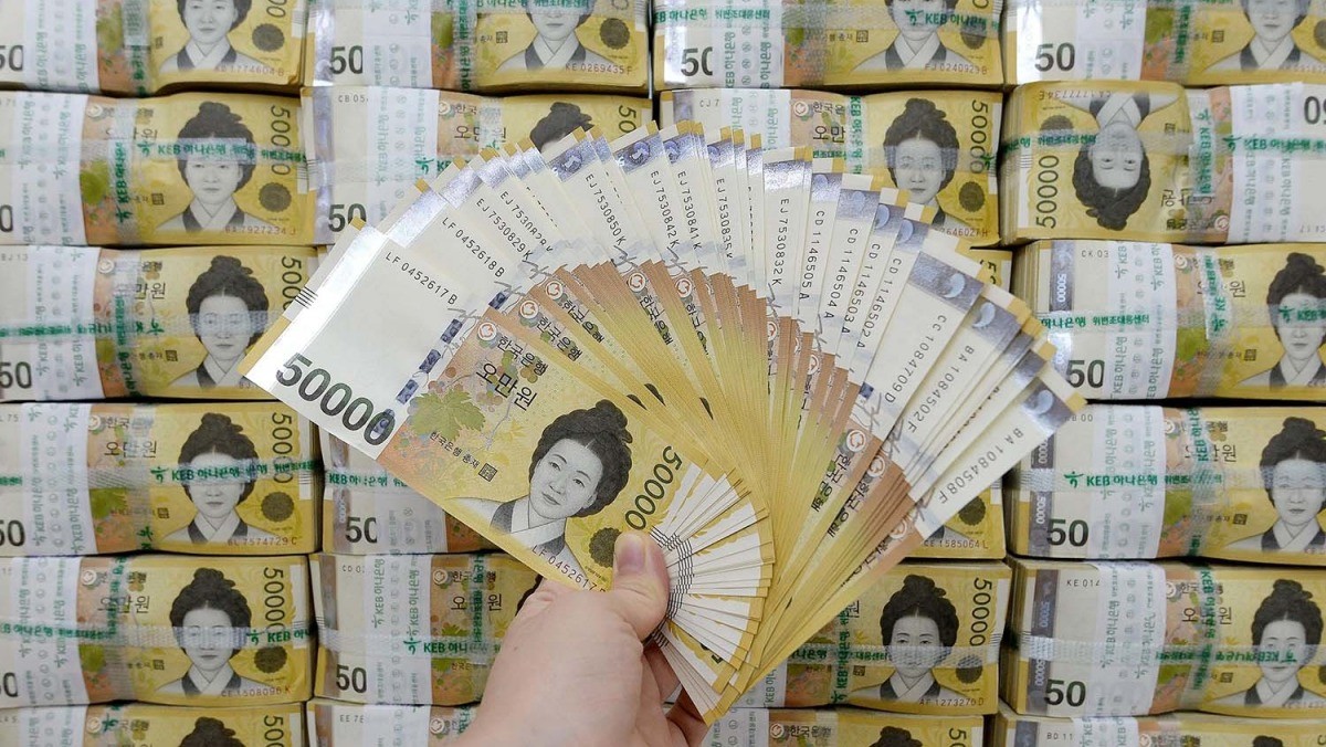 5만원권 지폐. 기사의 이해를 돕기 위한 사진 / 뉴스1