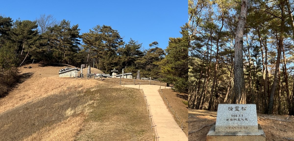 영월 장릉 / 위키트리 정혁진 기자