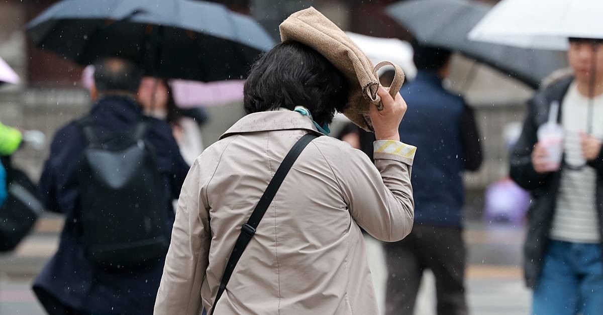 전국 비 또는 눈… 우산 챙기세요 / 뉴스1