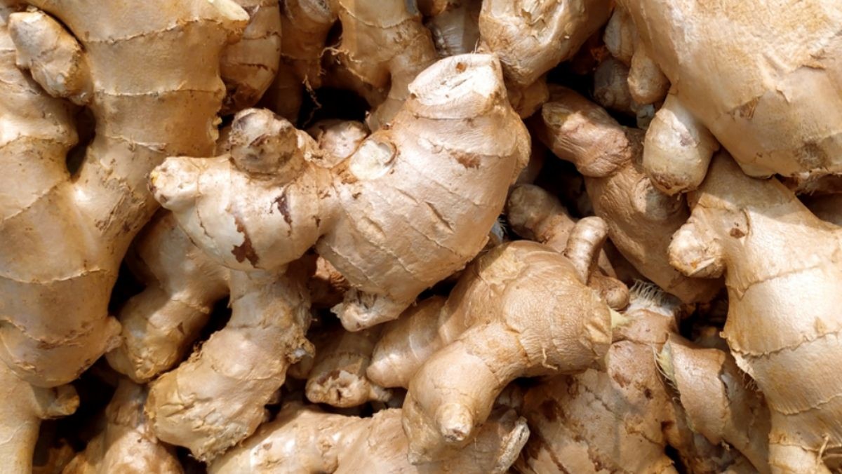 생강  / Anastasiia.L-shutterstock.com