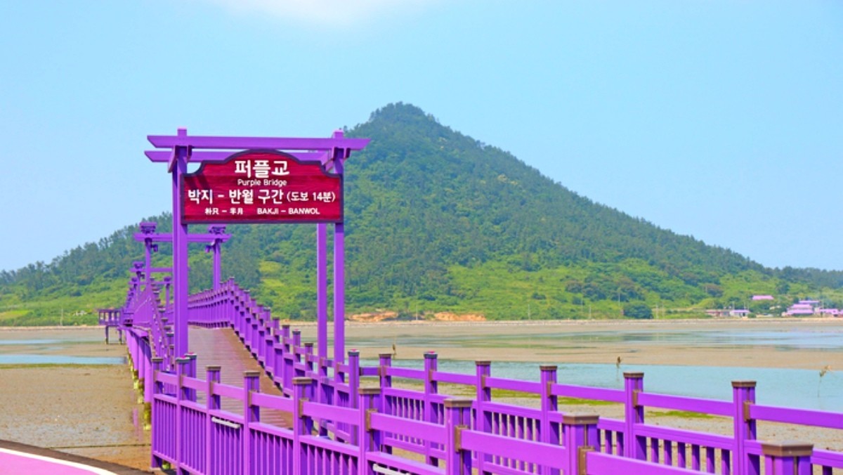 신안 퍼플교. 기사 내용 토대로 AI툴 활용해 제작한 자료사진.